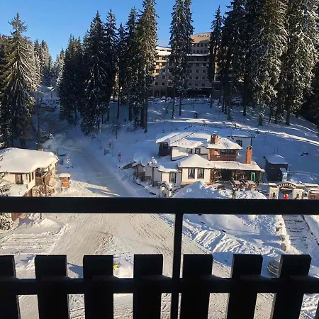 Panorama Apartment *