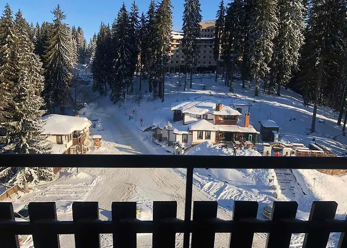 Panorama Apartment *